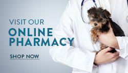 Visit our online pharmacy - shop now